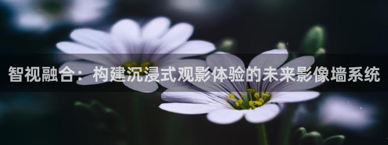 老湿影院毛片