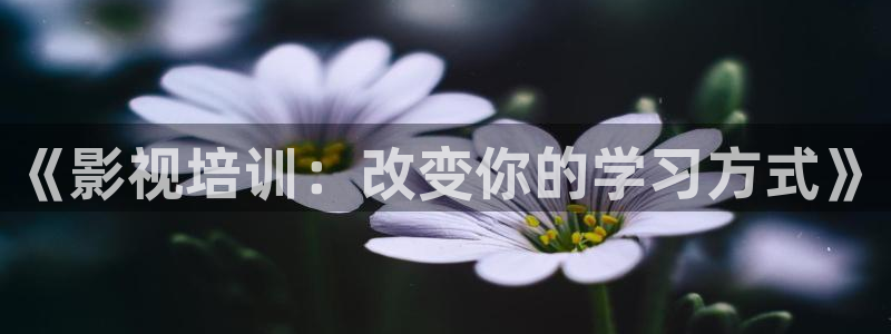 老湿影院x一分钟：《影视培训：改变你的学习方式》