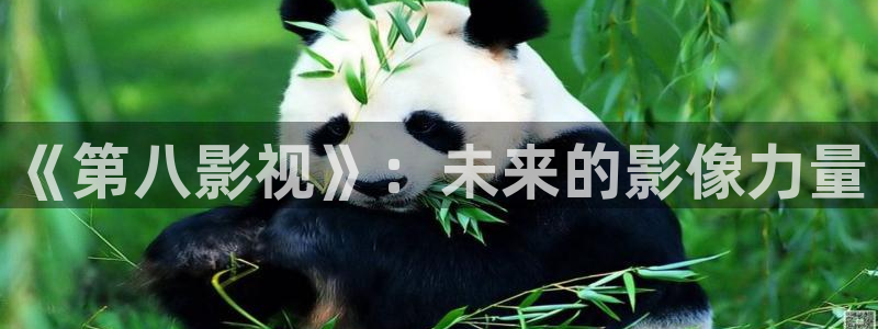 老湿影院幻星辰