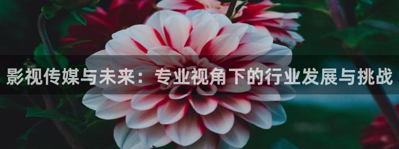 在线观看老湿影院