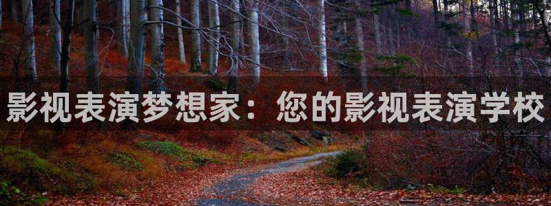 老湿影院免费看x