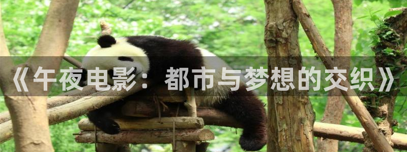 午夜影院老湿机