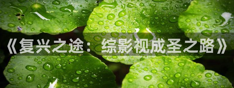老湿机福利影院在线观看：《复兴之途：综影视成圣之路》