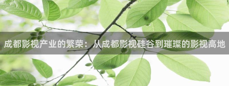老湿影院费试看