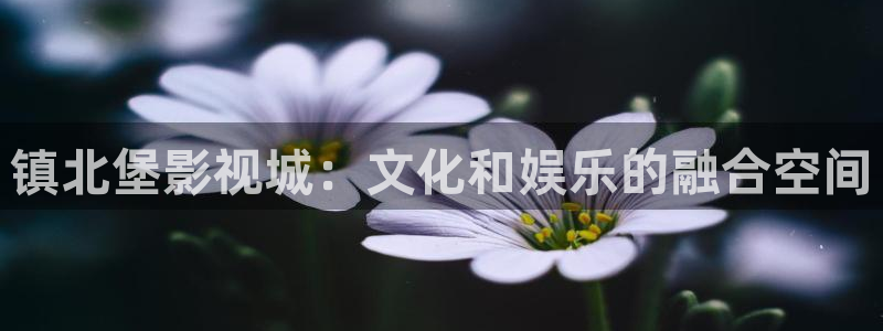 老湿电影